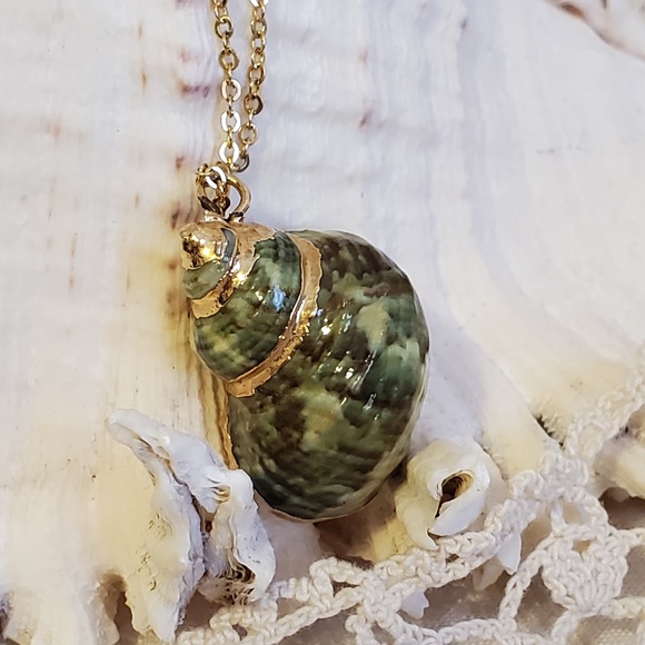 Jewelry - Gold Plated Sea Shell Necklace